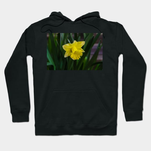 Spring Daffodil 2021 Hoodie by srosu